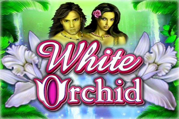White Orchid Demo Slot